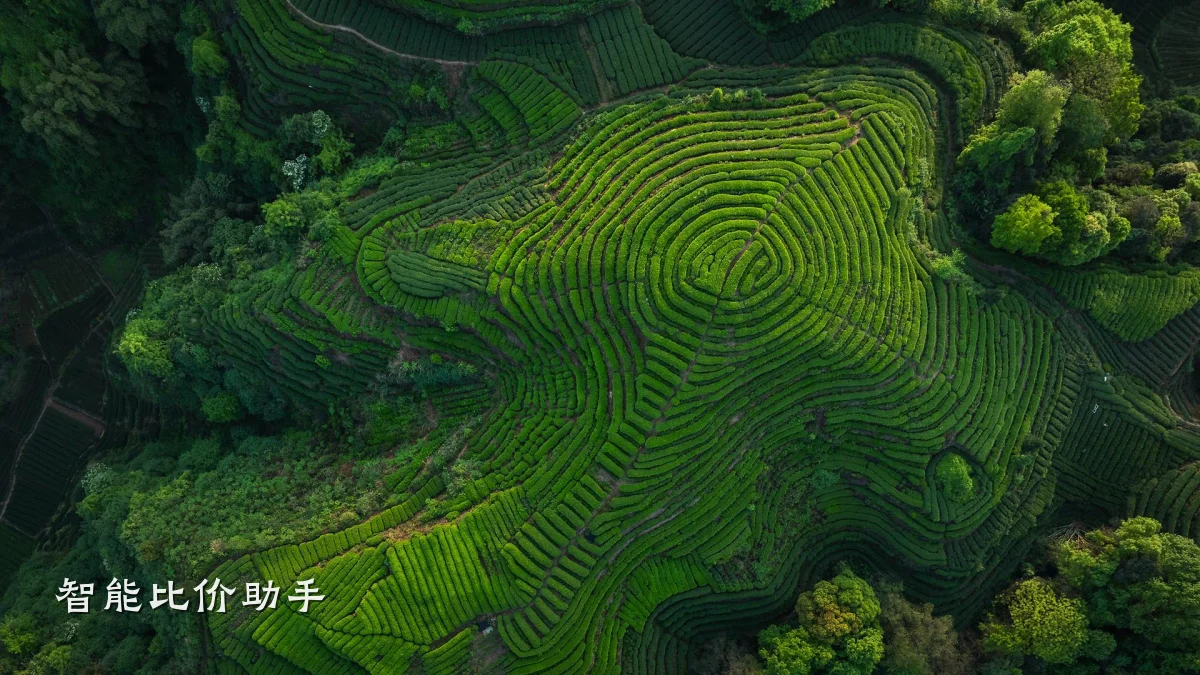 智能比价助手