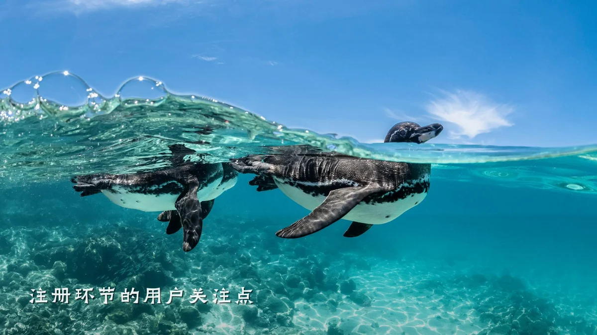 注册环节的用户关注点