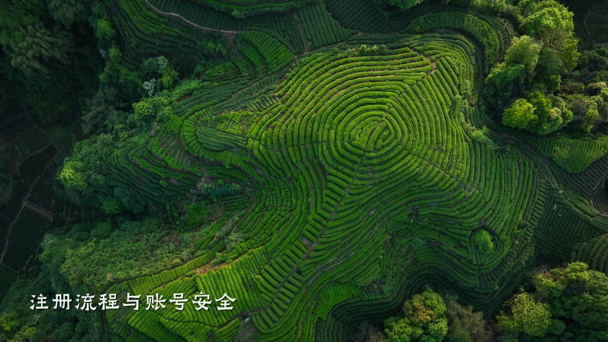 注册流程与账号安全
