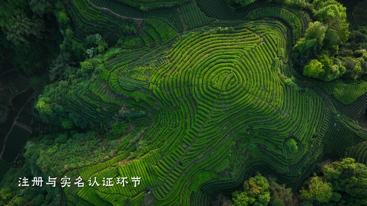 注册与实名认证环节