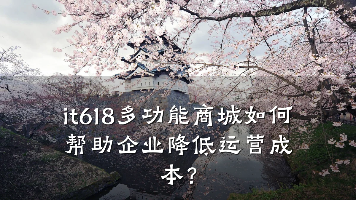 it618多功能商城如何帮助企业降低运营成本?