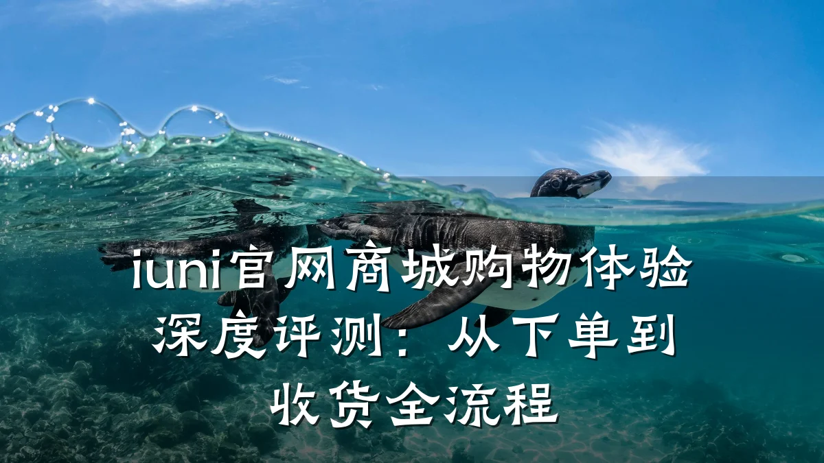 iuni官网商城购物体验深度评测:从下单到收货全流程