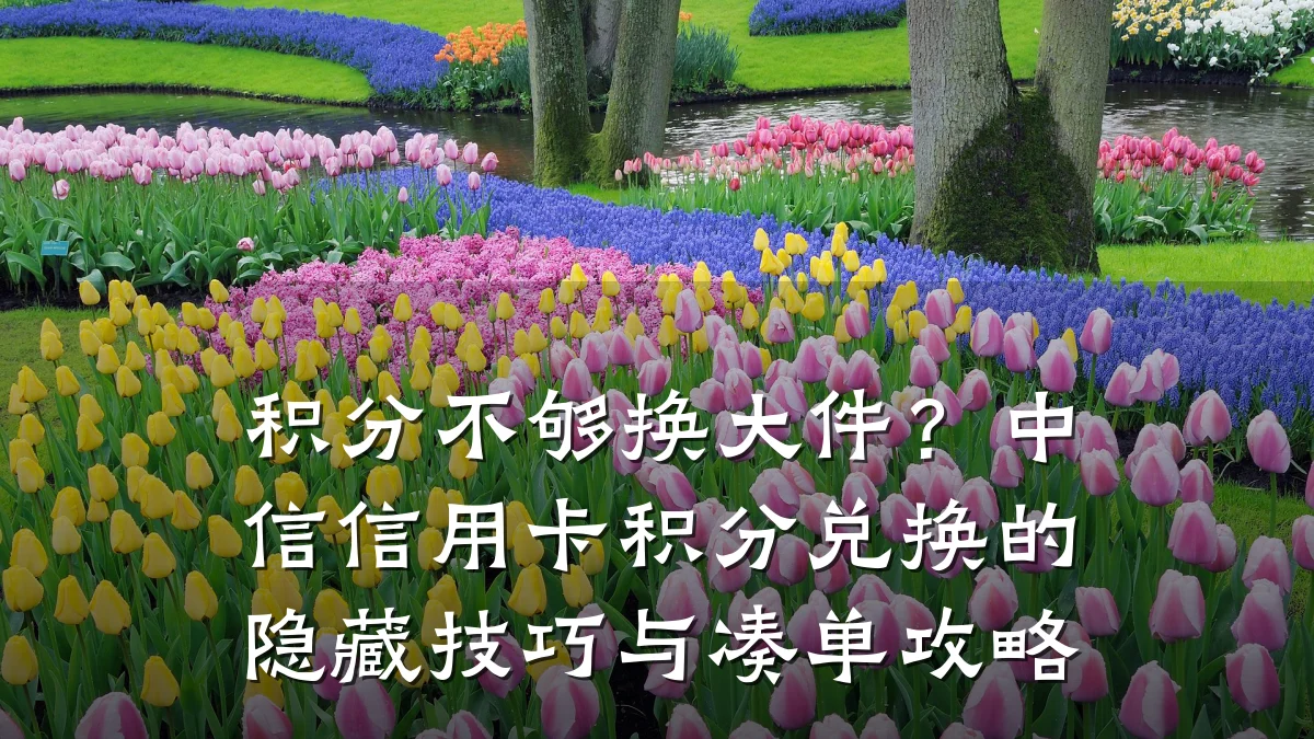 积分不够换大件?中信信用卡积分兑换的隐藏技巧与凑单攻略