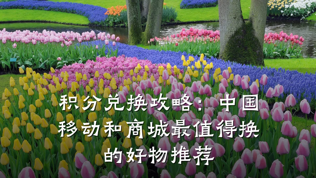 积分兑换攻略:中国移动和商城最值得换的好物推荐
