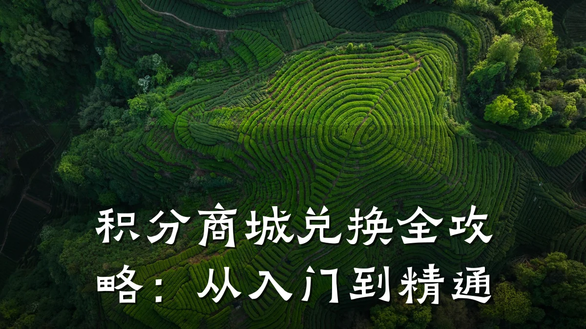 积分商城兑换全攻略：从入门到精通