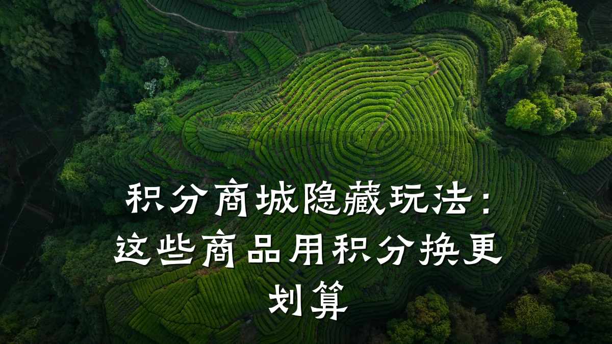 积分商城隐藏玩法:这些商品用积分换更划算