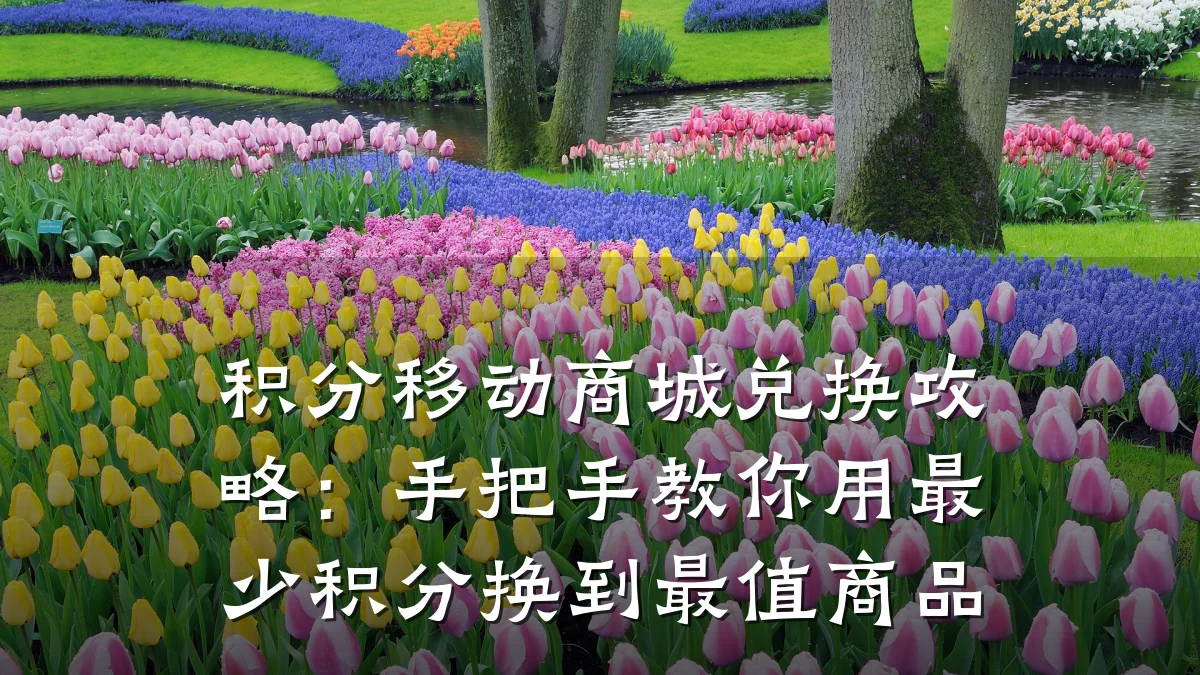积分移动商城兑换攻略:手把手教你用最少积分换到最值商品