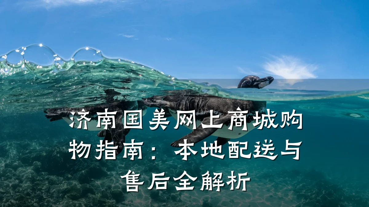 济南国美网上商城购物指南:本地配送与售后全解析