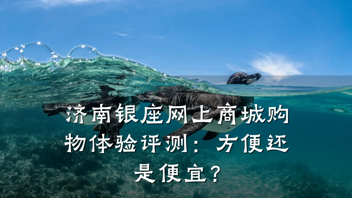 济南银座网上商城购物体验评测：方便还是便宜？