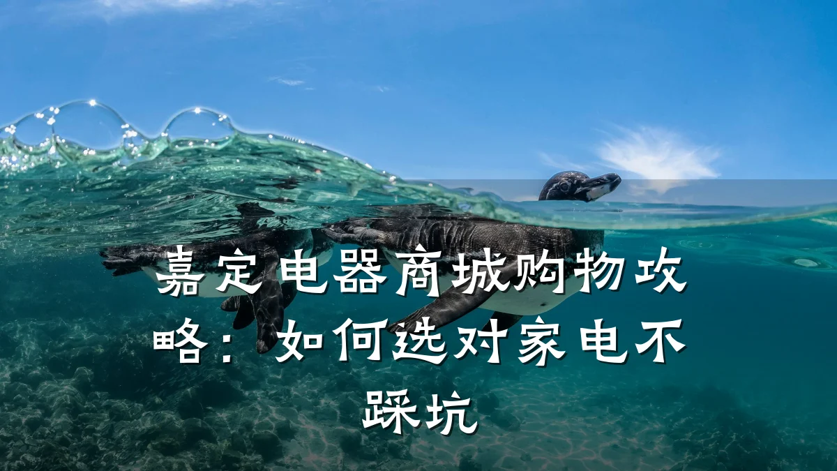 嘉定电器商城购物攻略：如何选对家电不踩坑