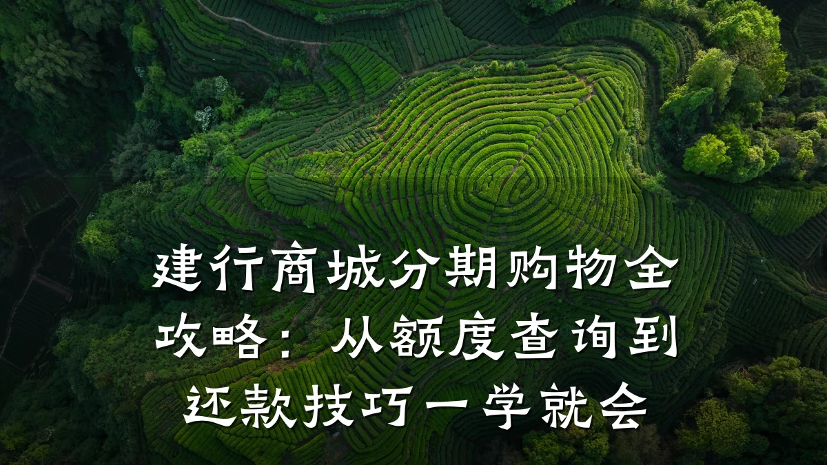 建行商城分期购物全攻略:从额度查询到还款技巧一学就会