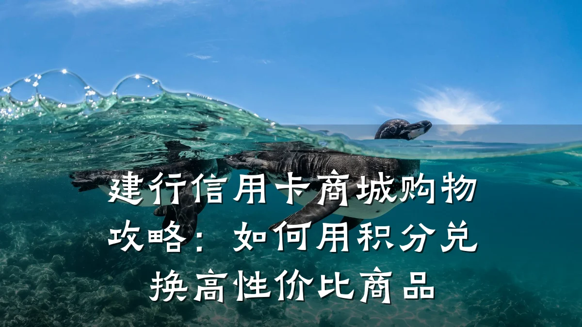建行信用卡商城购物攻略：如何用积分兑换高性价比商品