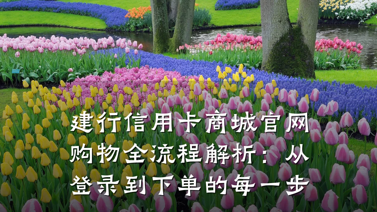 建行信用卡商城官网购物全流程解析：从登录到下单的每一步