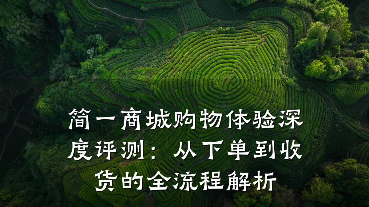简一商城购物体验深度评测:从下单到收货的全流程解析