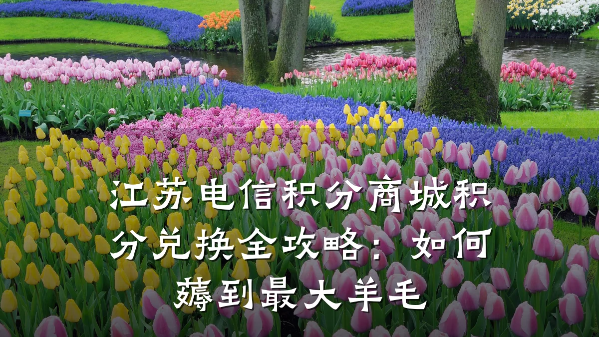 江苏电信积分商城积分兑换全攻略:如何薅到最大羊毛