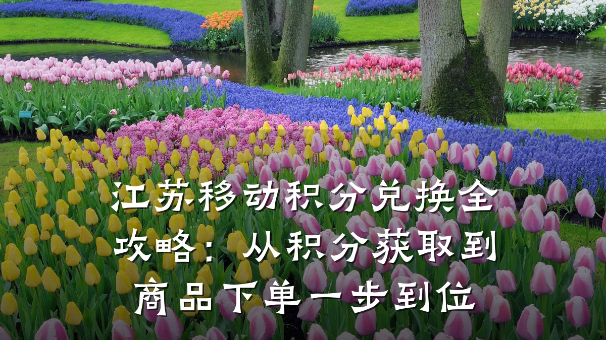 江苏移动积分兑换全攻略:从积分获取到商品下单一步到位
