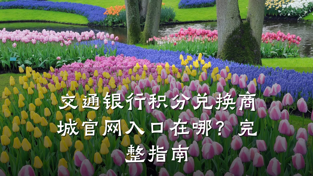 交通银行积分兑换商城官网入口在哪？完整指南