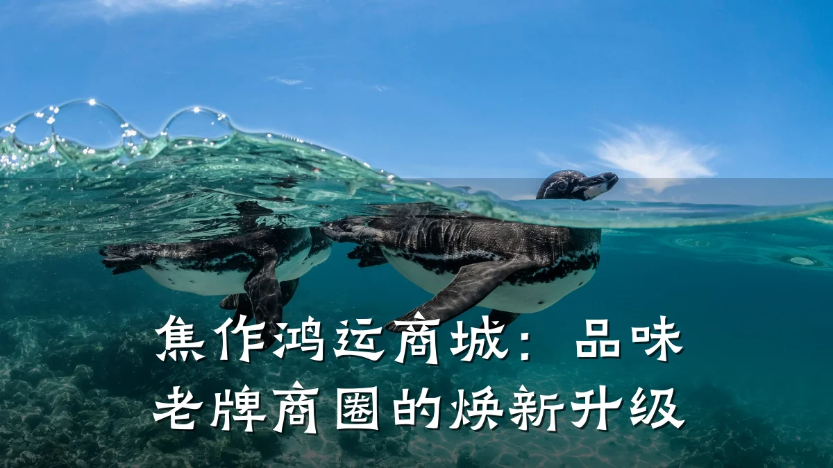 焦作鸿运商城:品味老牌商圈的焕新升级