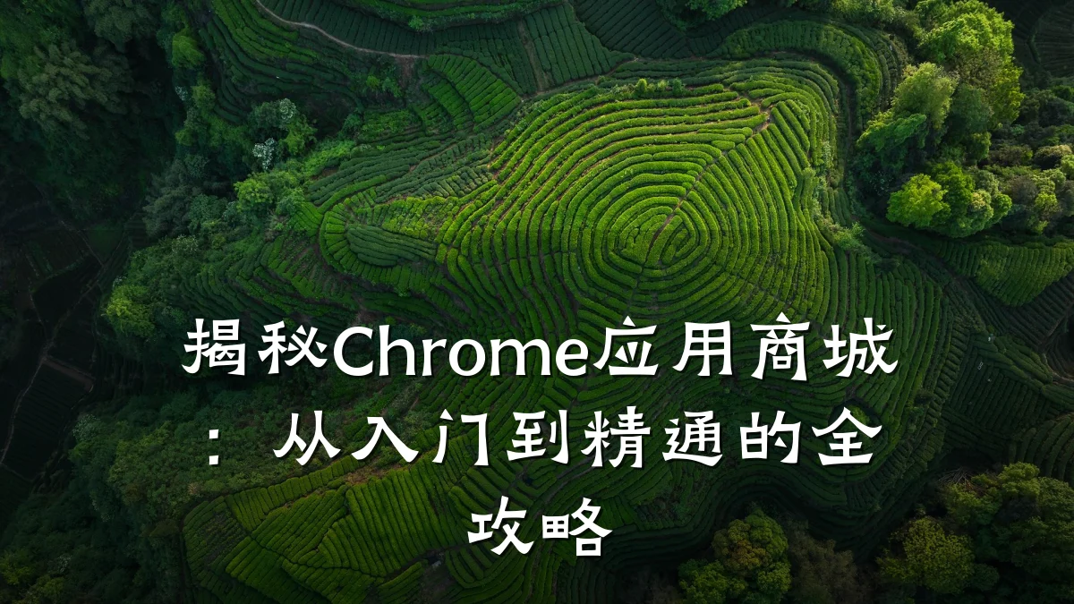 揭秘Chrome应用商城：从入门到精通的全攻略