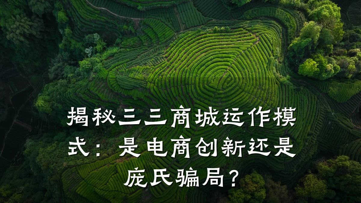 揭秘三三商城运作模式：是电商创新还是庞氏骗局？