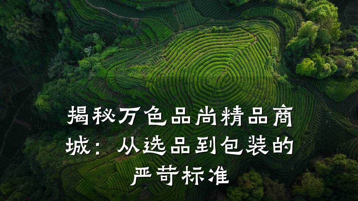 揭秘万色品尚精品商城:从选品到包装的严苛标准