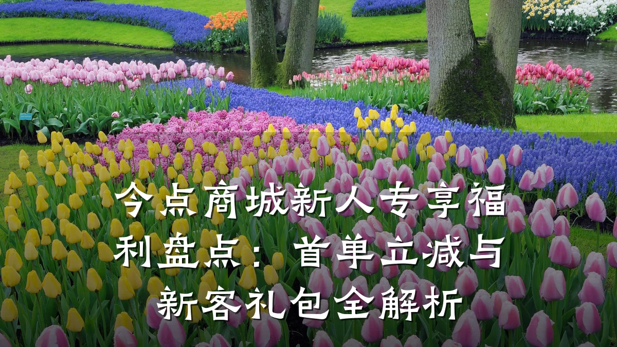 今点商城新人专享福利盘点:首单立减与新客礼包全解析