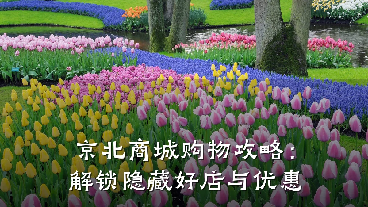 京北商城购物攻略：解锁隐藏好店与优惠