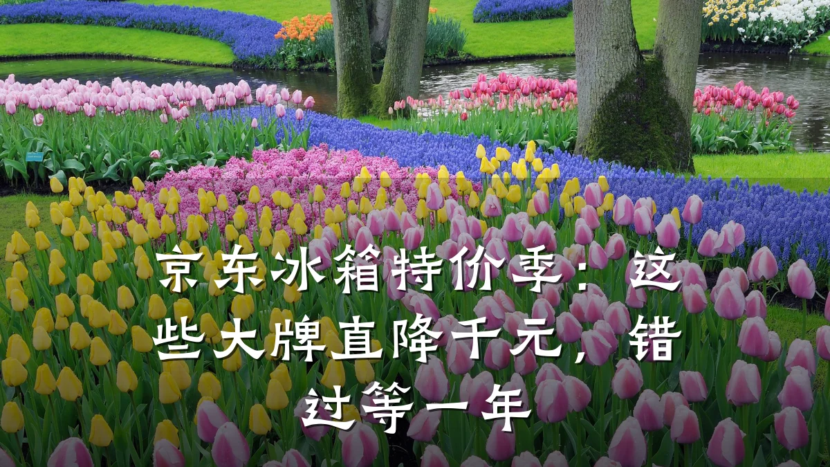 京东冰箱特价季：这些大牌直降千元，错过等一年