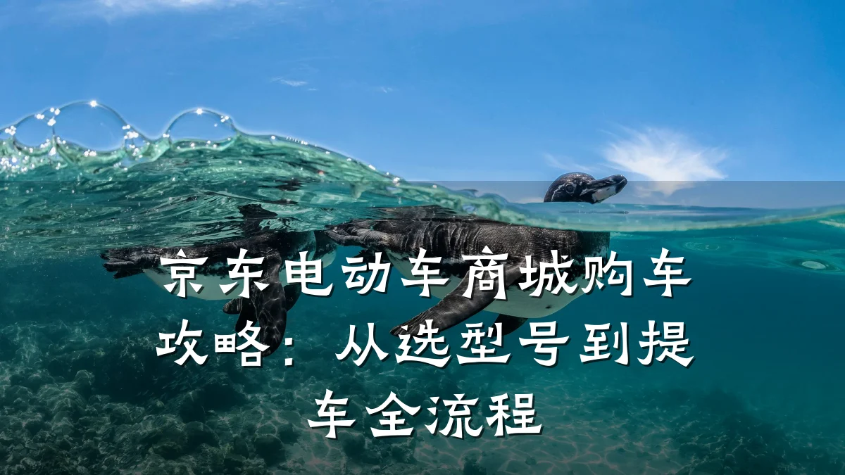 京东电动车商城购车攻略:从选型号到提车全流程