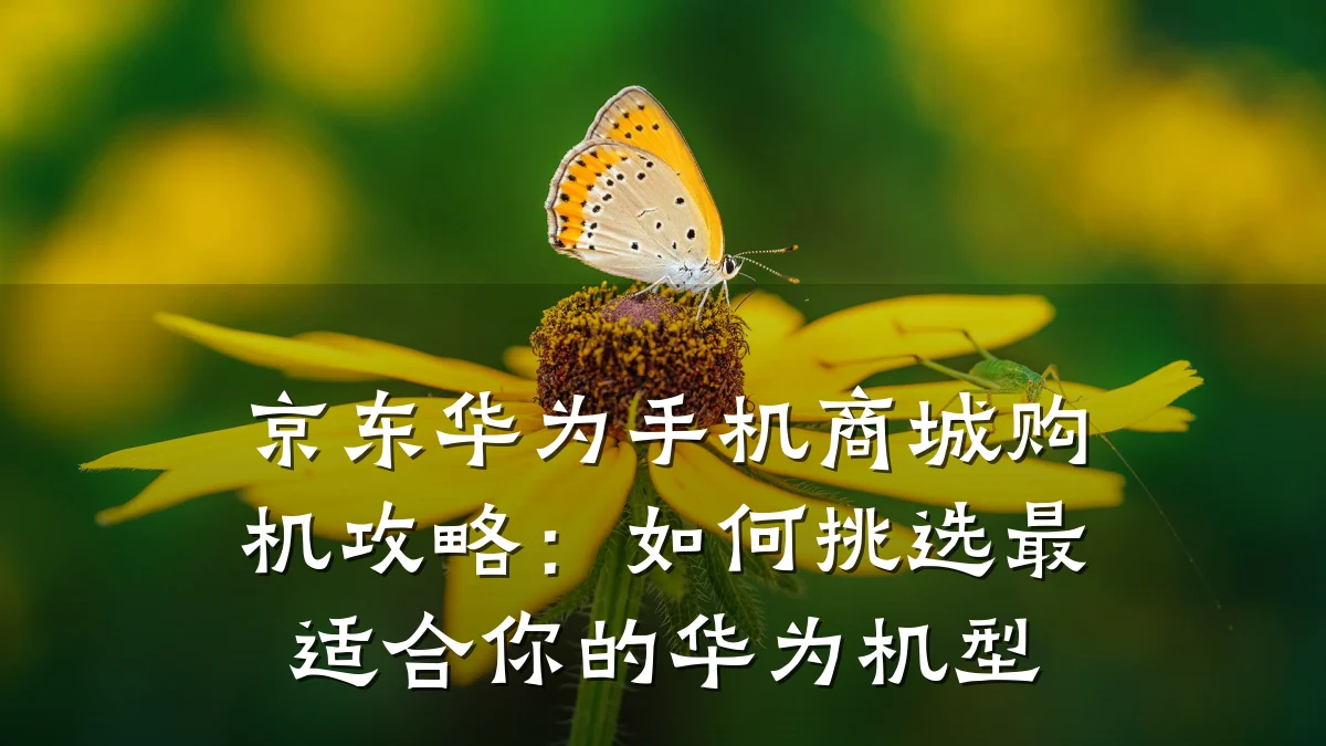 京东华为手机商城购机攻略：如何挑选最适合你的华为机型