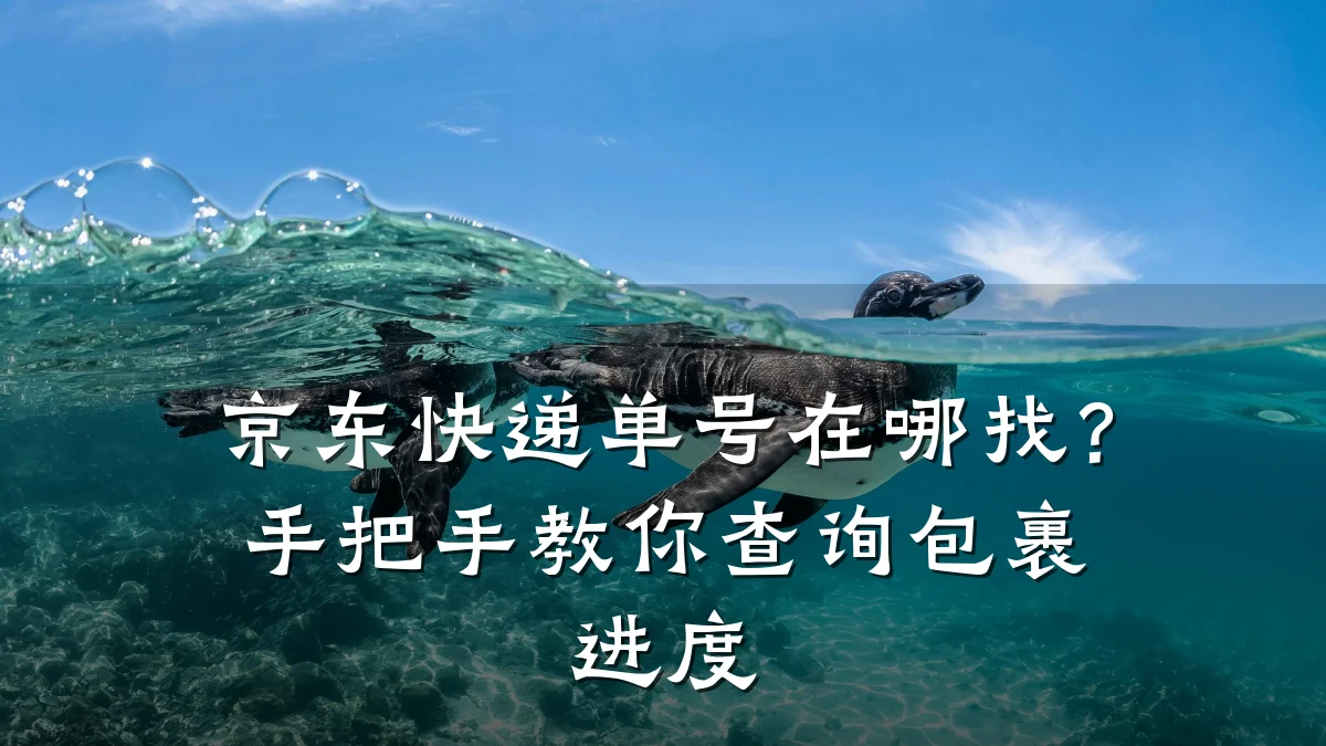京东快递单号在哪找?手把手教你查询包裹进度