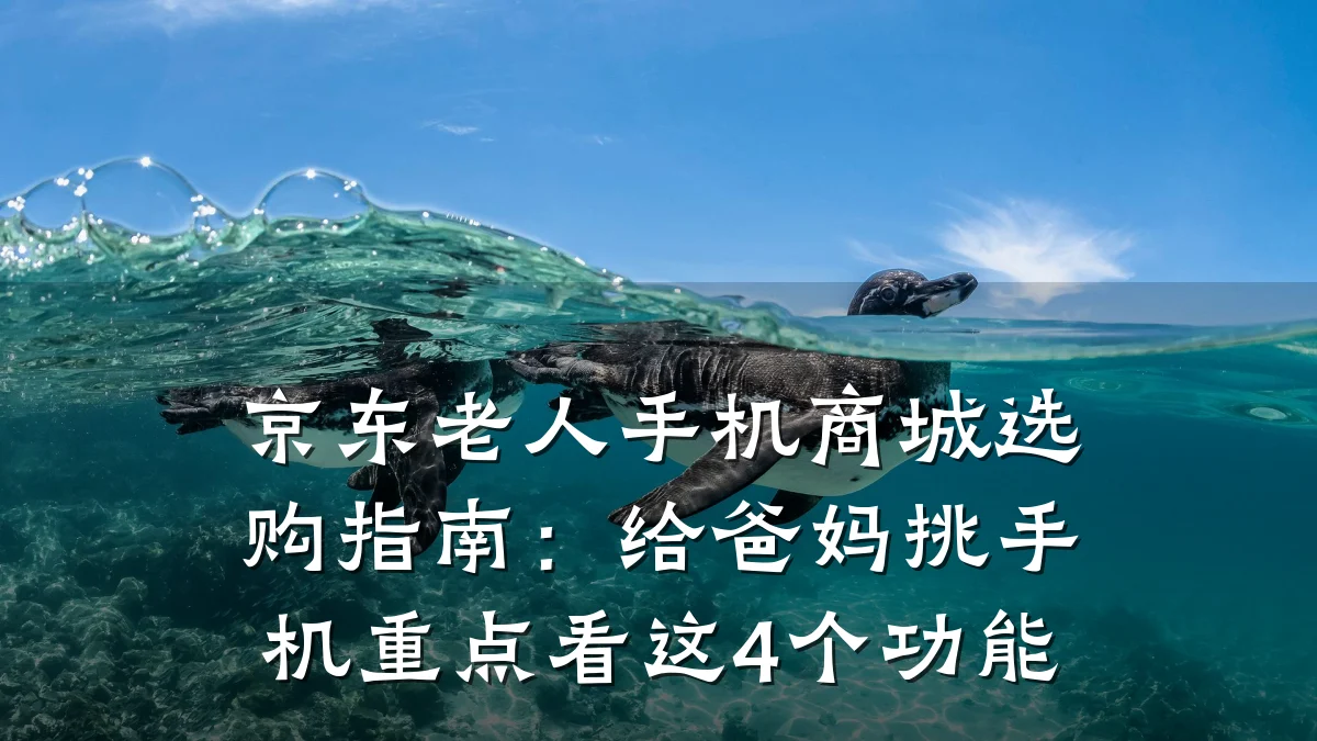 京东老人手机商城选购指南:给爸妈挑手机重点看这4个功能