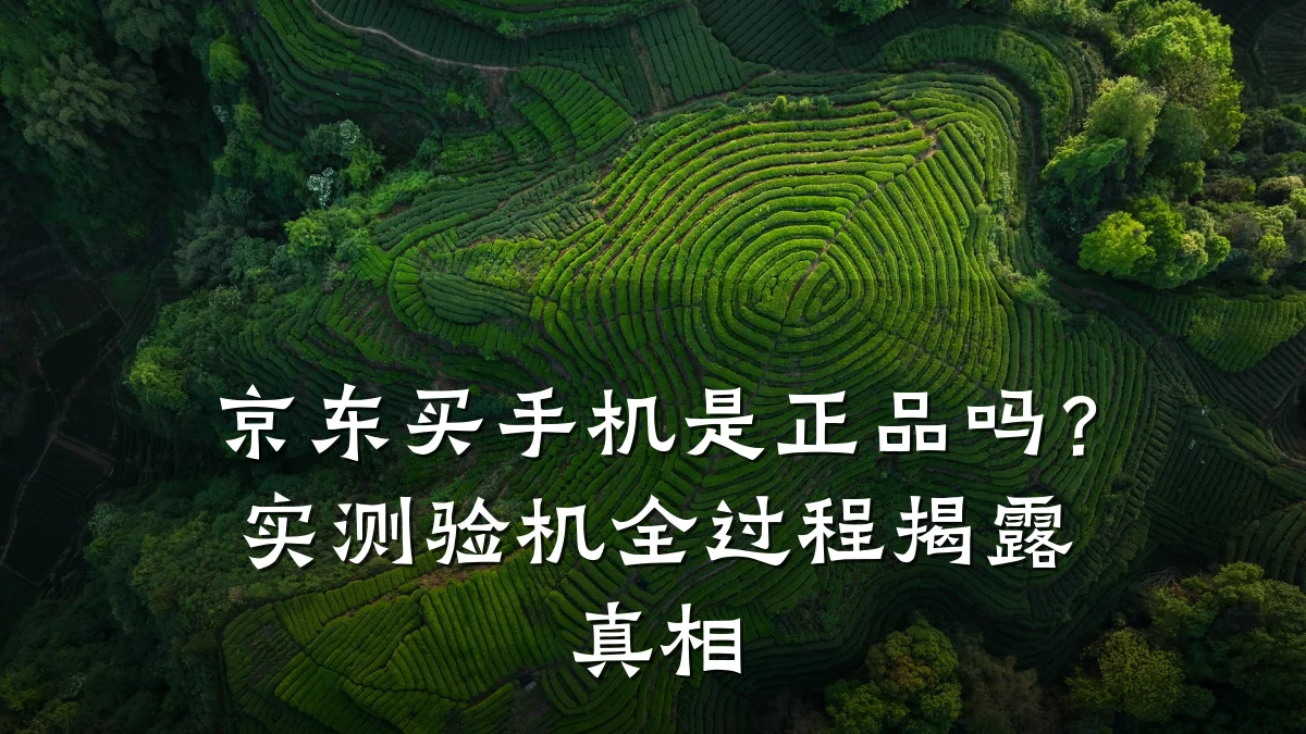 京东买手机是正品吗?实测验机全过程揭露真相