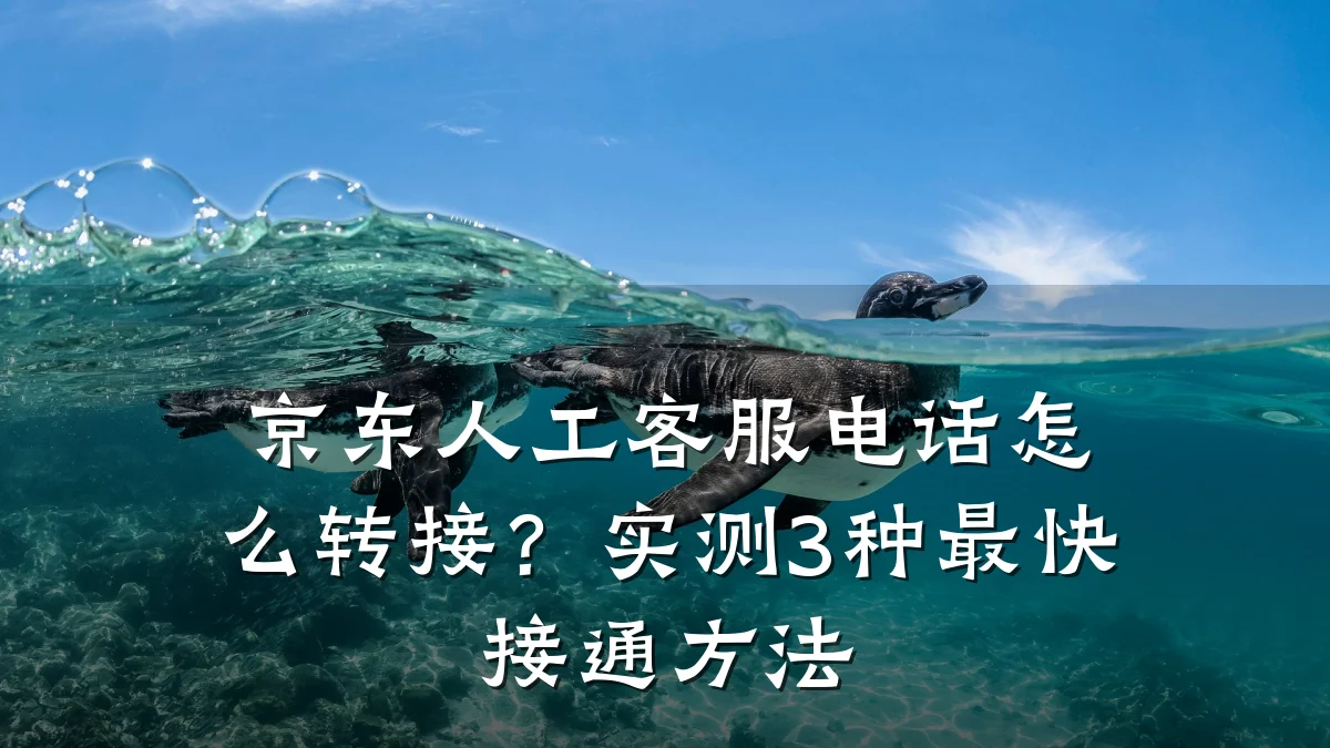 京东人工客服电话怎么转接？实测3种最快接通方法