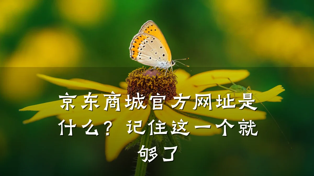 京东商城官方网址是什么？记住这一个就够了