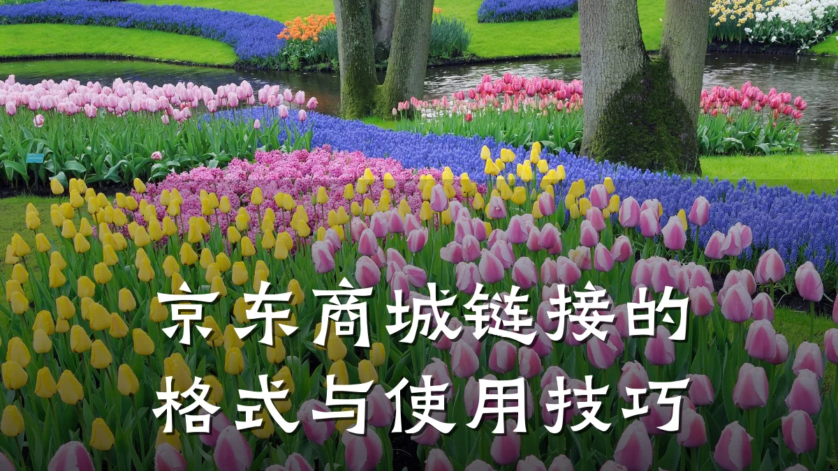 京东商城链接的格式与使用技巧