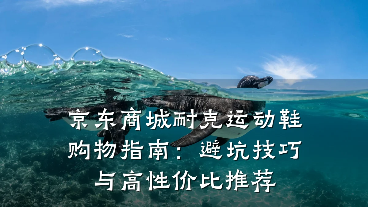 京东商城耐克运动鞋购物指南:避坑技巧与高性价比推荐