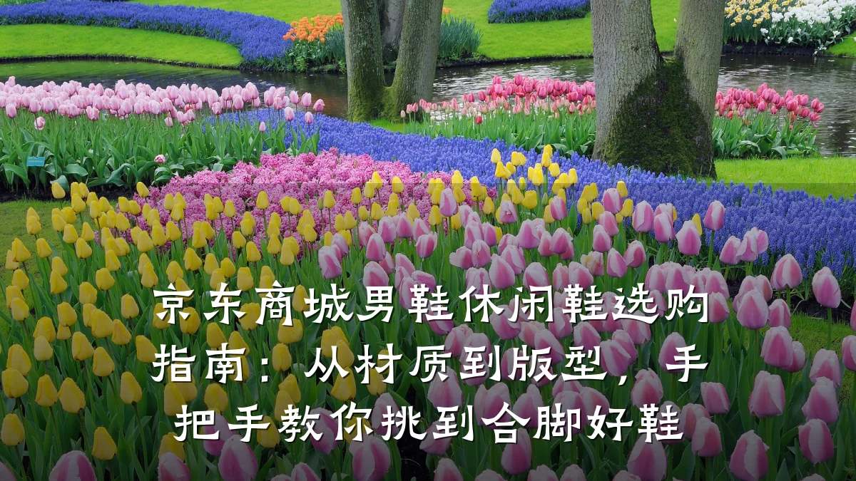 京东商城男鞋休闲鞋选购指南：从材质到版型，手把手教你挑到合脚好鞋