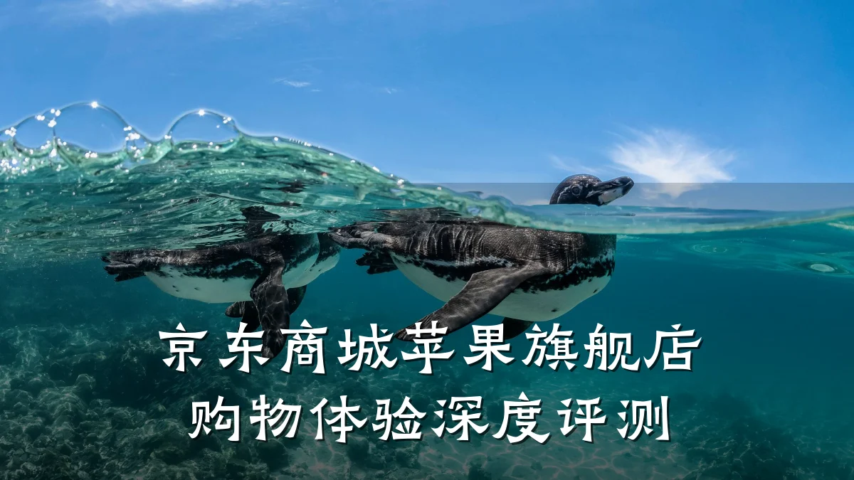 京东商城苹果旗舰店购物体验深度评测