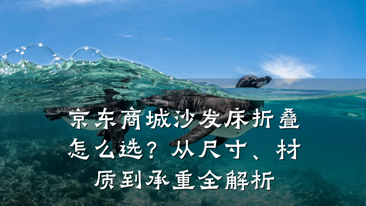 京东商城沙发床折叠怎么选？从尺寸、材质到承重全解析