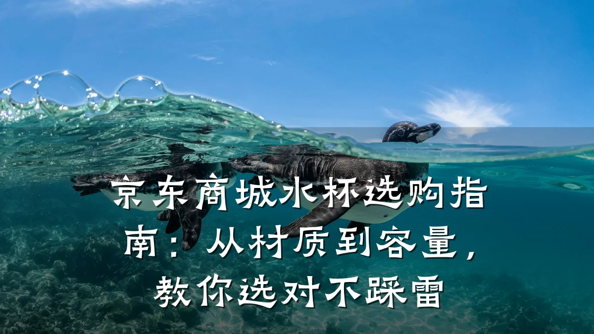 京东商城水杯选购指南：从材质到容量，教你选对不踩雷