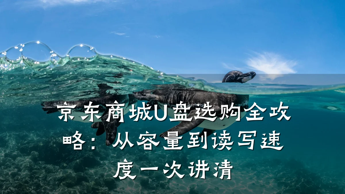 京东商城U盘选购全攻略:从容量到读写速度一次讲清