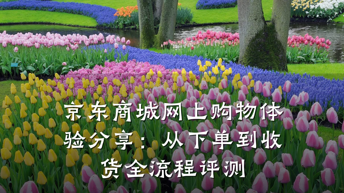 京东商城网上购物体验分享：从下单到收货全流程评测