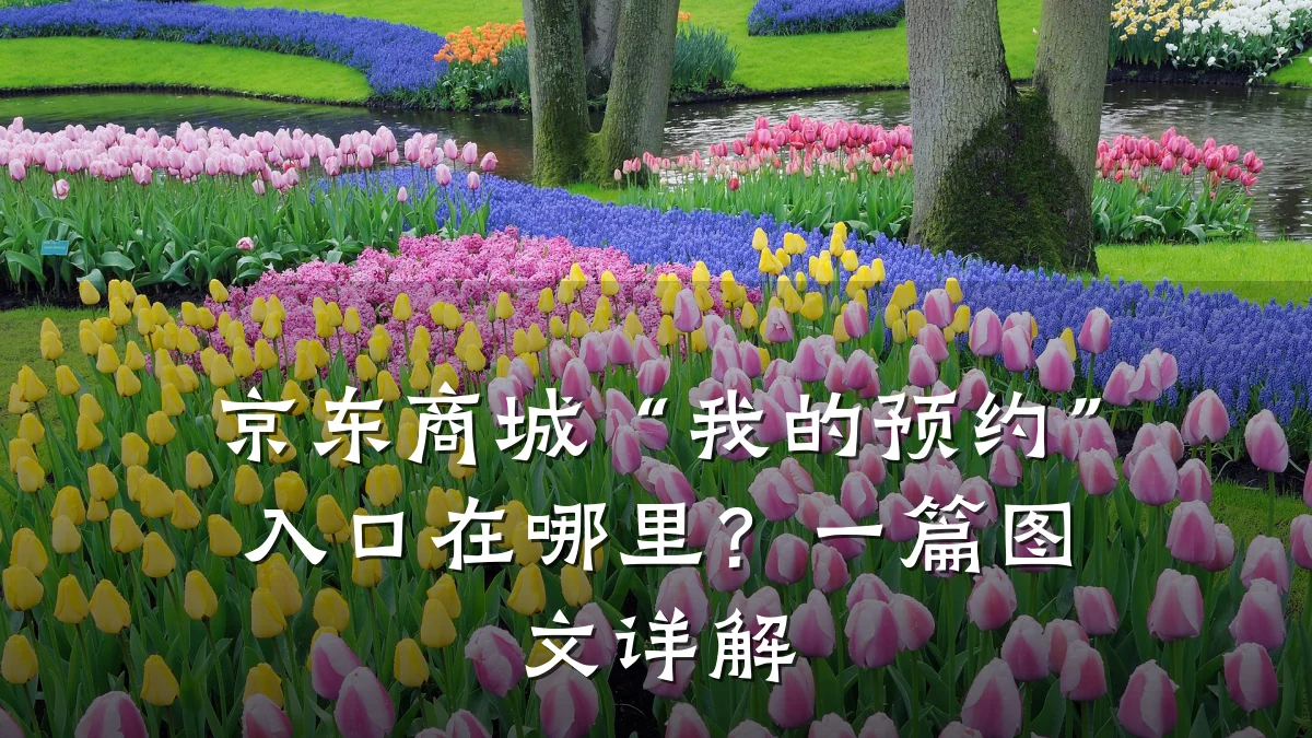京东商城“我的预约”入口在哪里?一篇图文详解
