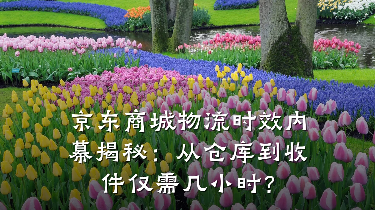 京东商城物流时效内幕揭秘:从仓库到收件仅需几小时?