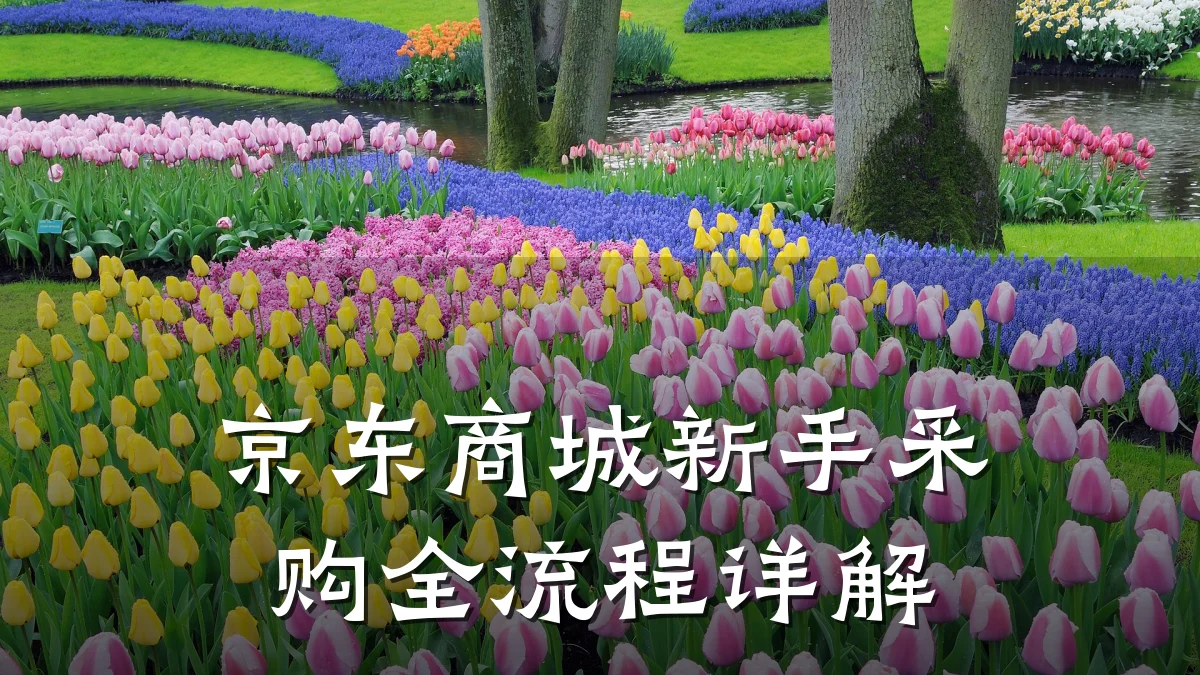 京东商城新手采购全流程详解