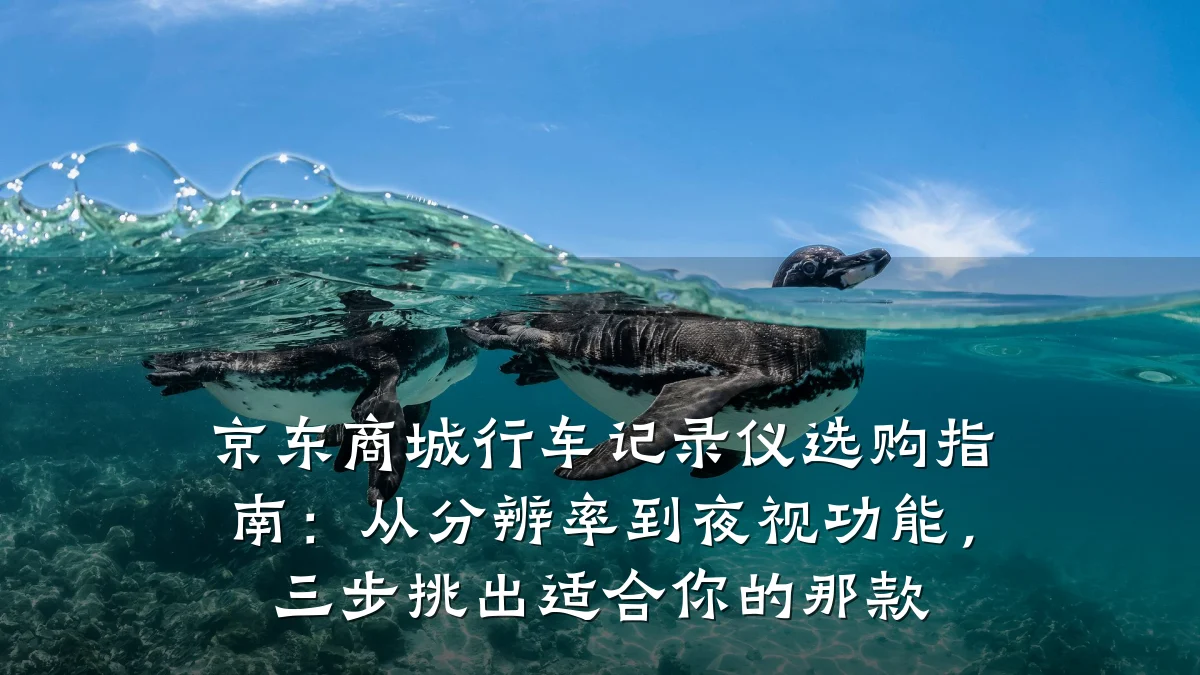 京东商城行车记录仪选购指南:从分辨率到夜视功能,三步挑出适合你的那款
