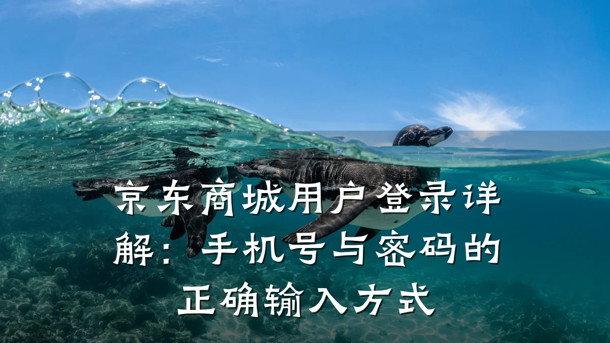 京东商城用户登录详解:手机号与密码的正确输入方式