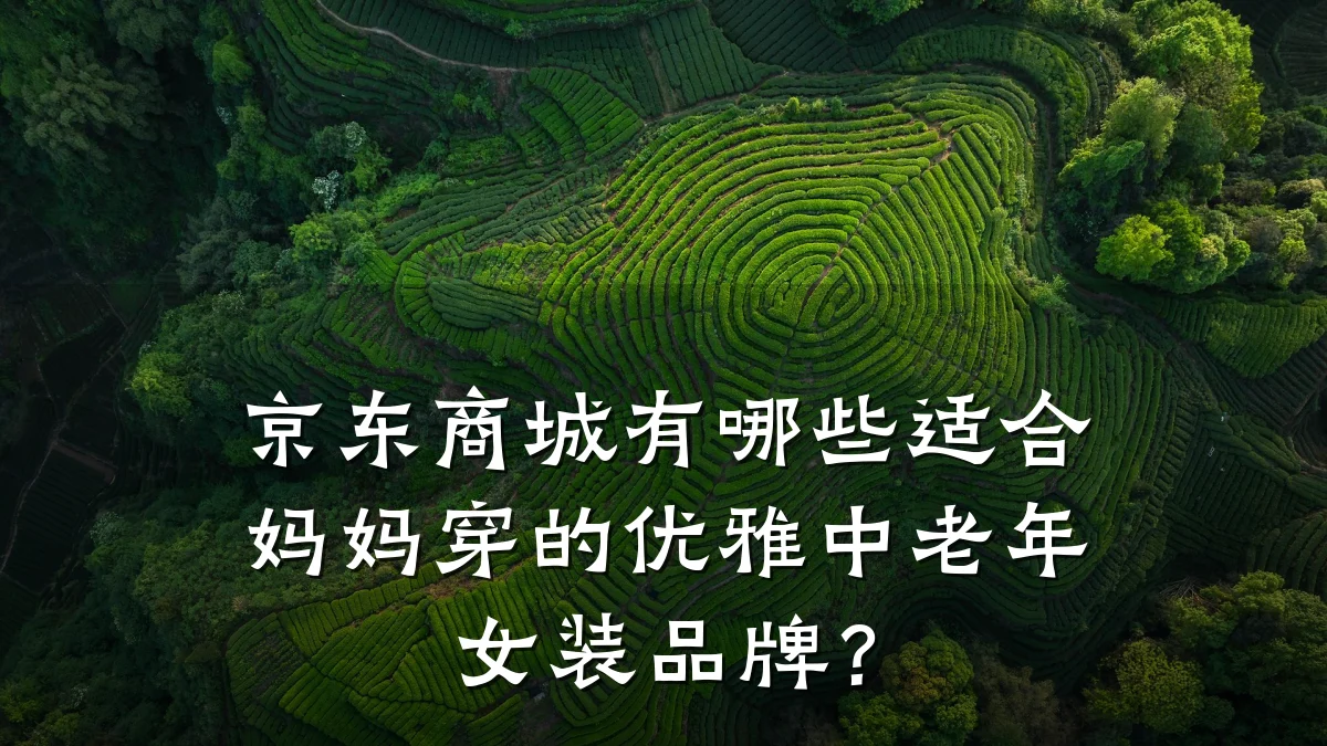 京东商城有哪些适合妈妈穿的优雅中老年女装品牌？