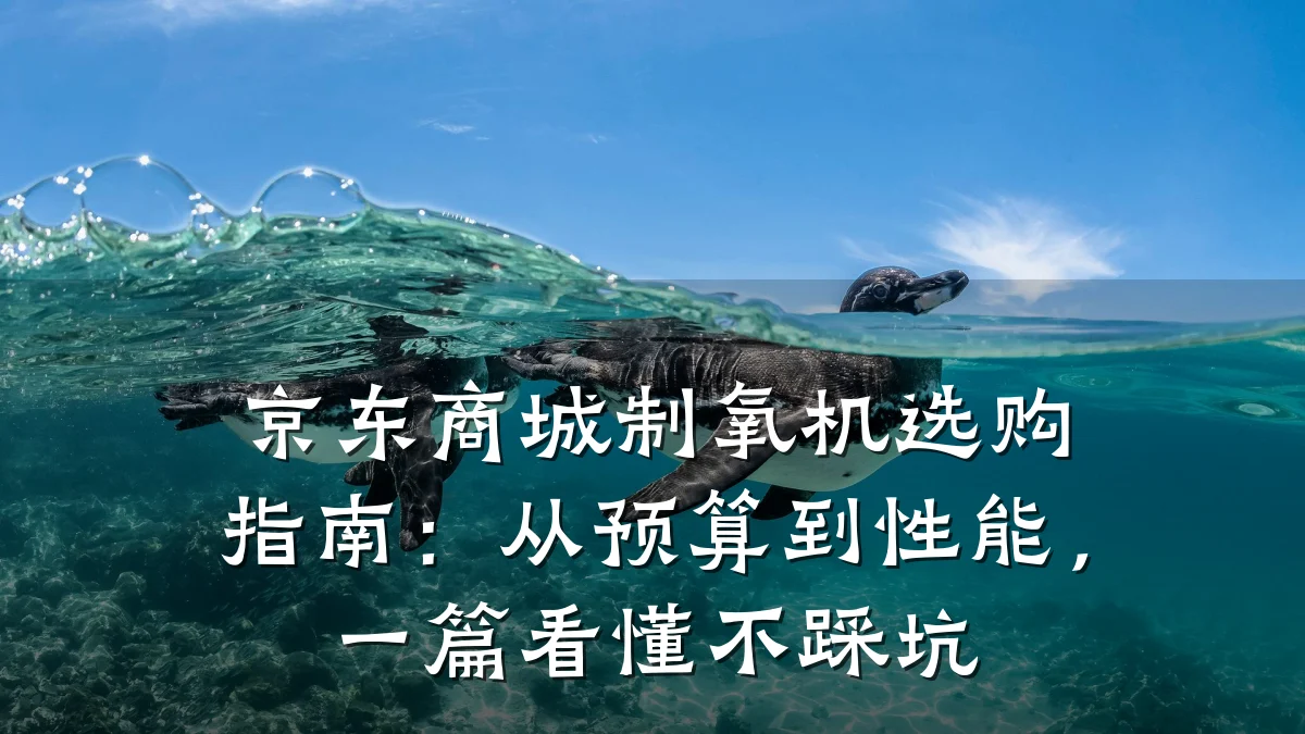 京东商城制氧机选购指南：从预算到性能，一篇看懂不踩坑